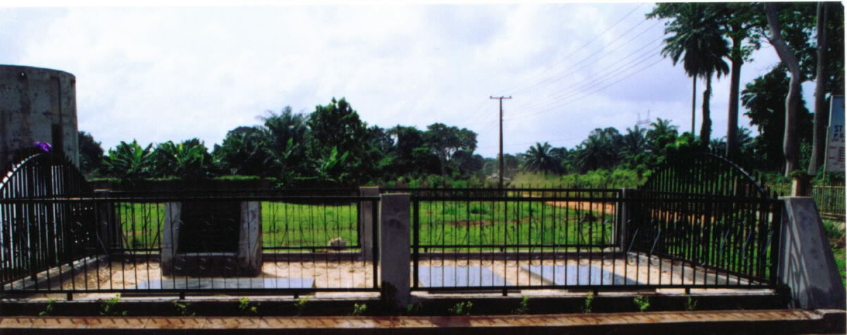 nne29.jpg